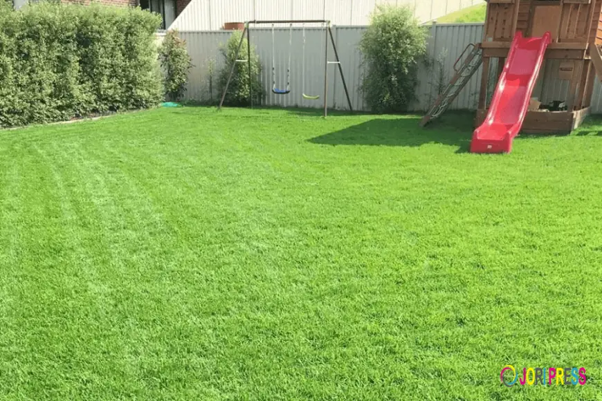 The Ultimate Guide to Choosing the Best Turf Supplier in Melbourne: Sir Walter Turf
