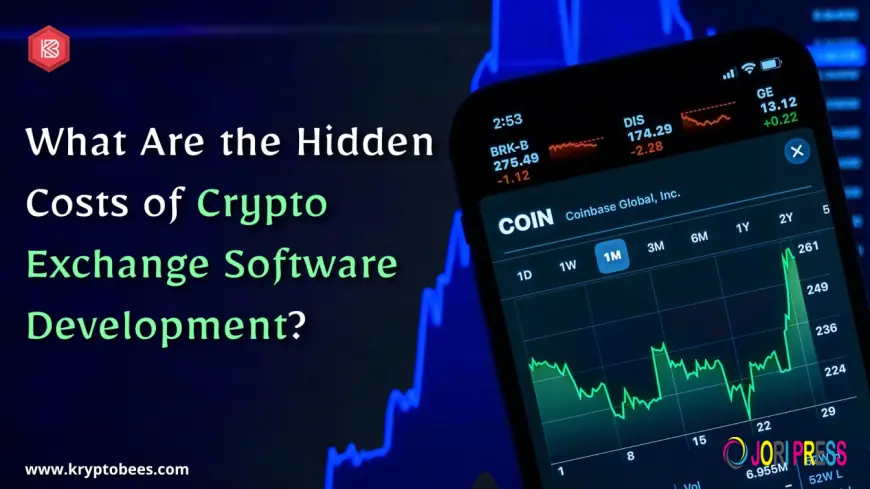 What Are the Hidden Costs of Crypto Exchange Software Development?