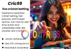 Live Cricket Betting Exposed: How Cric99 Becomes Your Top Betting ID Provider
