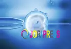 IVF and Egg Donor Selection: A Guide for Recipient Couples