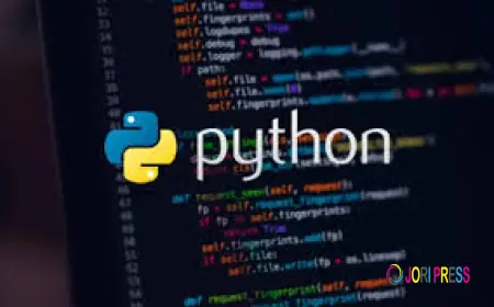 How to Solve My Python Assignment?