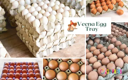 Egg Tray Manufacturers in India – A Complete Guide ft. Veena Egg Tray