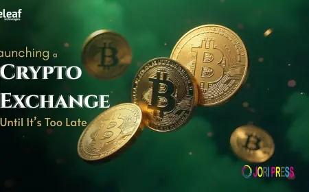 What No One Tells You About Launching a Crypto Exchange Until It’s Too Late