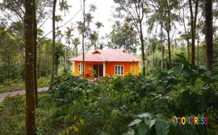 Homestay in Wayanad – Experience Nature, Comfort & Authentic Kerala Hospitality