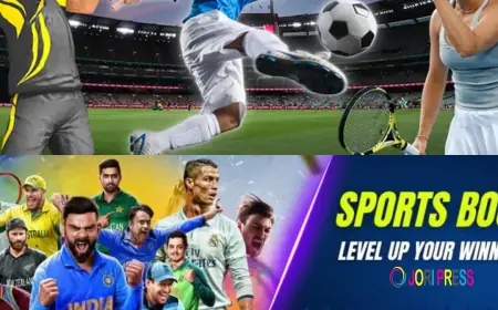 Laser247Club: A Complete Guide to Laser247, Laser 247 Club Features & Smooth Laser 247 ID