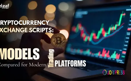 Cryptocurrency Exchange Scripts: Models Compared for Modern Trading Platforms