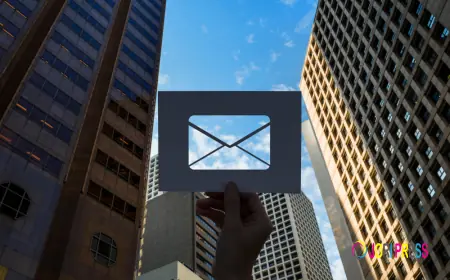 Case-Based Decision Making: Why Companies Finalize a B2B Email Marketing Agency Partner