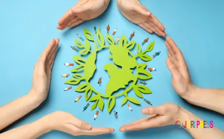 Cultural exchange Understanding the World Through Shared Learning