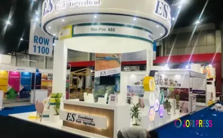 Why Exhibitors Choose Whimsical Exhibits as Their Trusted Stand Manufacturer