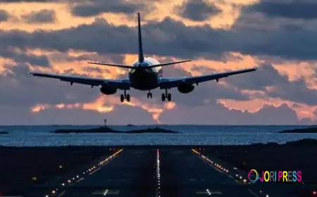 A Complete Guide to the Turkish Airlines Office Amman Jordan