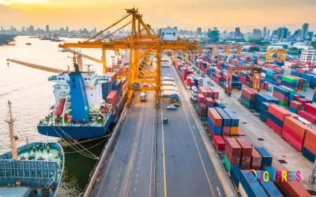 Sea Freight Services in New Delhi: A Smarter Trade Advantage