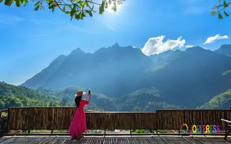 Mary Budden Estate – The Best Hotel in Almora, Uttarakhand for Luxury, Nature & Timeless Serenity