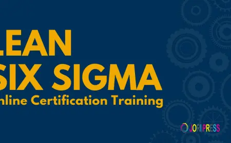 Transform Your Career: The Ultimate Benefits of Lean Six Sigma Certification for Working Professionals