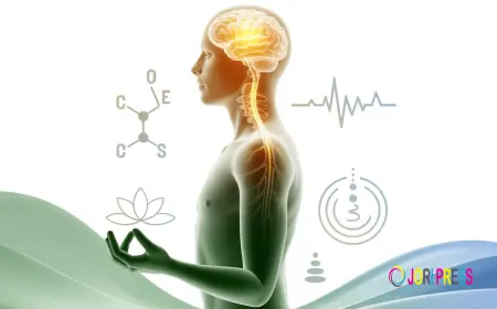 Decoding Stress: Why Managing It Early Makes All the Difference