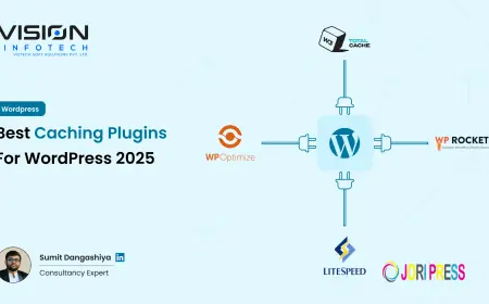Why Your Business Needs a Custom WordPress Plugin ?