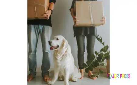 Mark's Moving & Storage Launches Specialized Senior Relocation Services