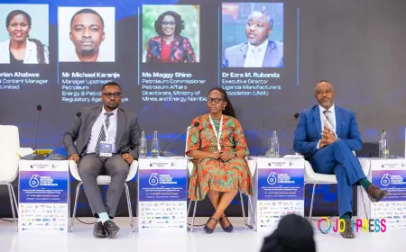 Explore regional oil and gas opportunities: Experts tell Uganda's enterprise