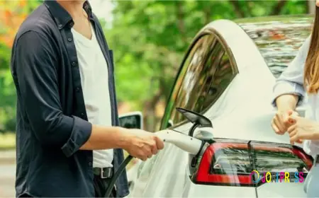 Hybrid vs Petrol Rentals: Which Is Better for Your Trip?