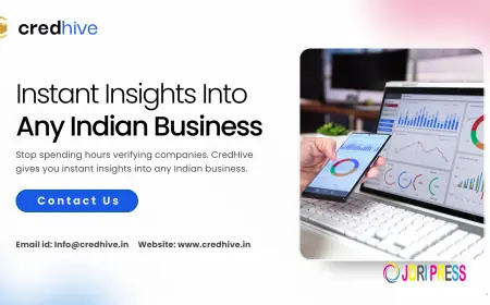 Indian Company Information: How to Verify Any Business in Minutes