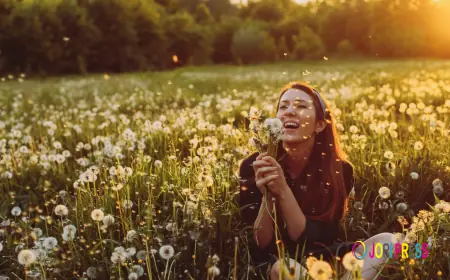 Neue Wege zur Nähe – Wie Paare durch bewusste Veränderungen zusammenfinden