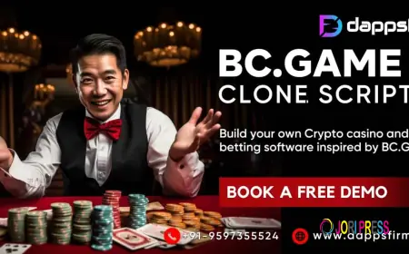 How Your BC.Game Clone Platform Can Make Money 24/7 With Automated Systems