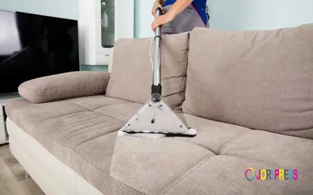 Refresh Your Sofa and Transform Your Living Space