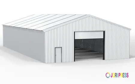 Steel Frame Building