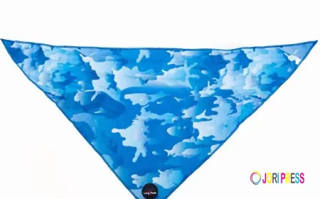 The Complete Dog Walking Guide: Choosing the Best Harness for Dogs, Dog Leads & Dog Collars