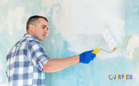 Anicette Stucco LLC’s Exterior Painting Services Deliver Lasting Impressions