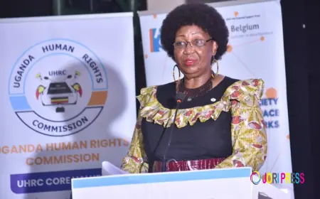 Electoral stakeholders urged to adhere to guidelines and professional law enforcement to uphold human rights in elections campaigns  