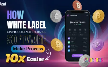 How White Label Crypto Software Makes the Crypto Exchange Process 10× Easier