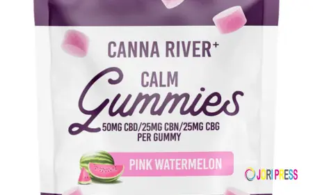 Hemp Gummies: Driving innovation and growth in Functional wellness