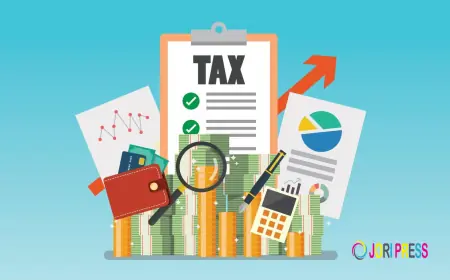 Navigating International Taxes: How A Tax Advisor For Expats Can Save You Money