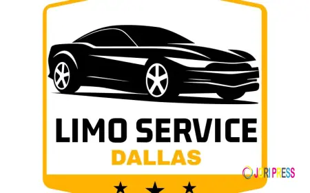 Dallas Party Bus Christmas Lights Tour: Luxury Holiday Experience