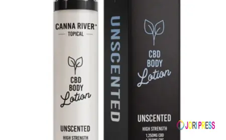 Premium CBD Oils: Setting a new standard in quality and innovation