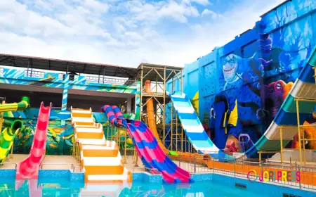Water Parks in Bangalore: A Comprehensive Guide to Planning, Safety, and Operational Excellence
