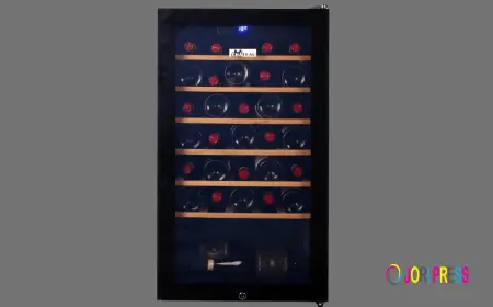 Best Wine Fridge: The Ultimate Guide to Storing Your Wine Perfectly