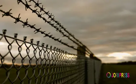 Central Coast Fencing Industries Enhances Property Safety with Chain Wire