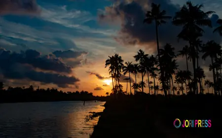 Kerala Tour Package for Solo Travelers: Safety, Tips & Best Routes