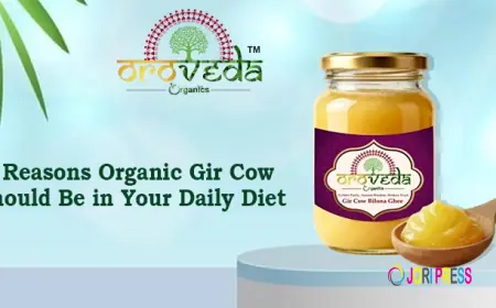 Top 10 Reasons Organic Gir Cow Ghee Should Be in Your Daily Diet