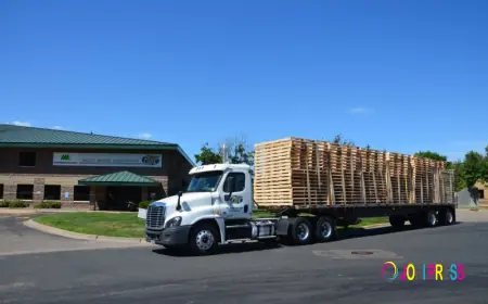 Rising Demand for Reliable Pallet Service Providers in Dublin—C&C Pallet Services Responds