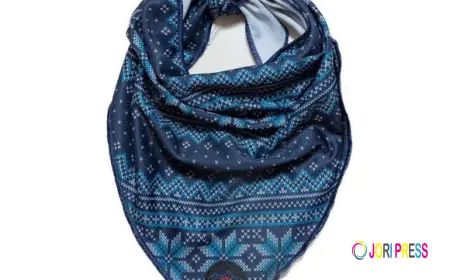 Elevate Your Dog’s Daily Walks with Premium Dog Accessories UK Pet Parents Love