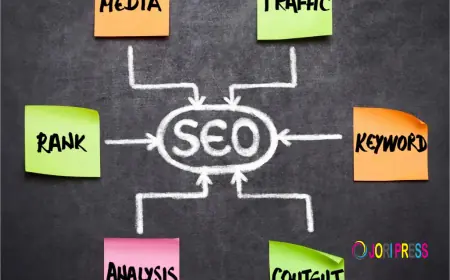 Affordable SEO Services for Business Growth | Fast Ranking