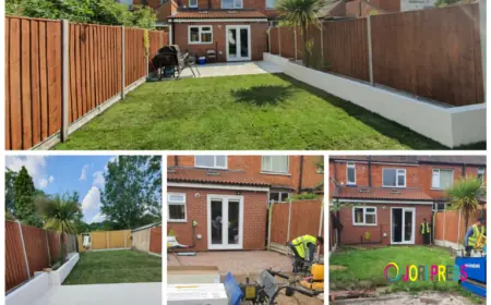 MR E. BUILDERS Expands Professional Landscaping Services in Birmingham