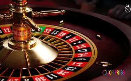 Future of Online Casinos with a Roulette Game Development Company in the US