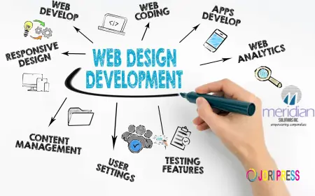 The Growing Importance of Professional Web Design in Chandigarh