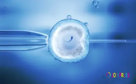 IUI vs IVF: Choosing the Right Fertility Treatment