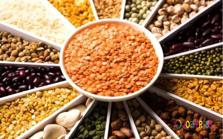No.1 Pulses Brand in India – Trusted Suppliers & Manufacturers