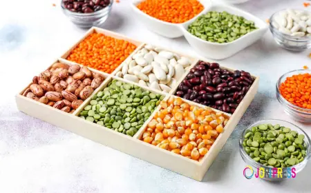 How to Choose the Right Beans Company in India