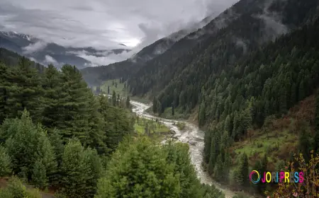 How to Plan a 7-Day Kashmir Tour Package for First-Time Travelers